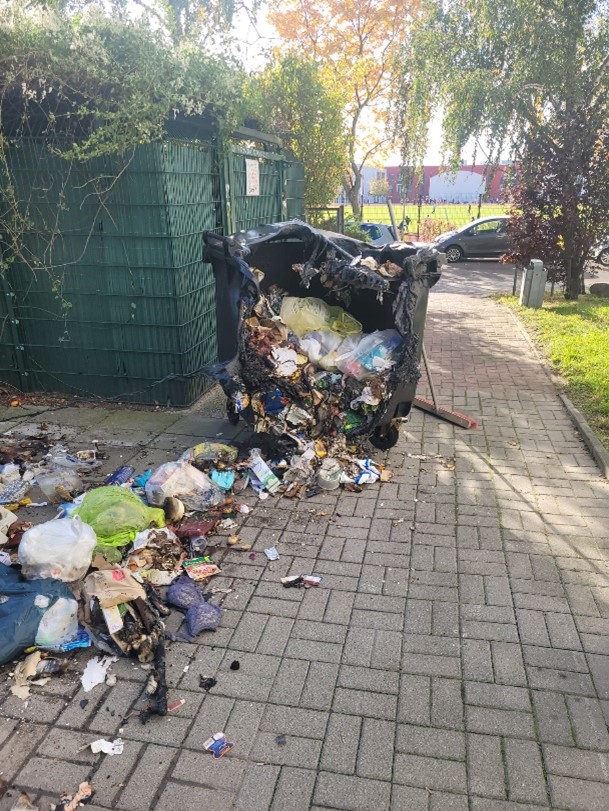 muelltonnenbrand 2