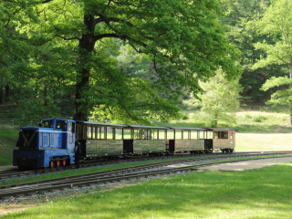 Busausfahrt00019458FELIX_M