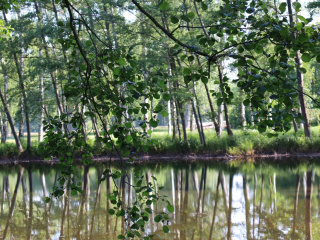Fotowettbewerb_Spreewald-LG