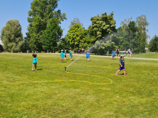 IMG-20240626-WA0019