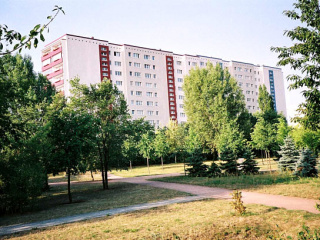bild8