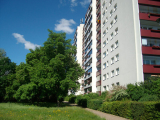 bild9